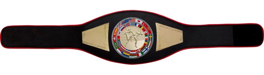 THAI BOXING CHAMPIONSHIP BELT-PROFLAG2/FLAG/G/TBOG - VARIETY OF COLOURS AVAILABLE THAI BOXING CHAMPIONSHIP BELT-PROFLAG2/FLAG/G/TBOG - VARIETY OF COLOURS AVAILABLE